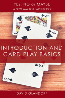 Yes, No or Maybe: Introduction and Card Play Basics